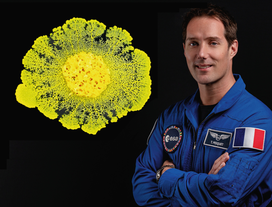 A la rentrée St Jo élèvera des Blobs