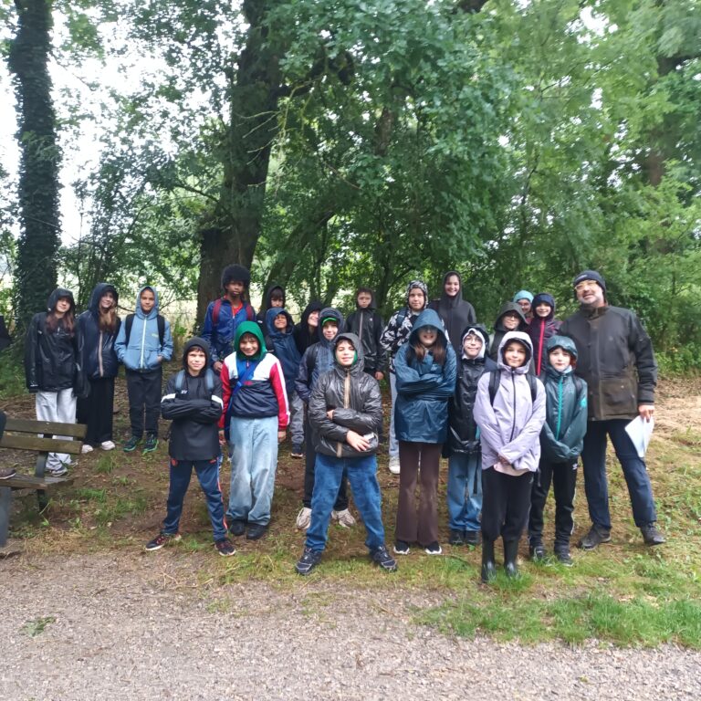 Les 6e explorent le Bois de Linars malgré la pluie !
